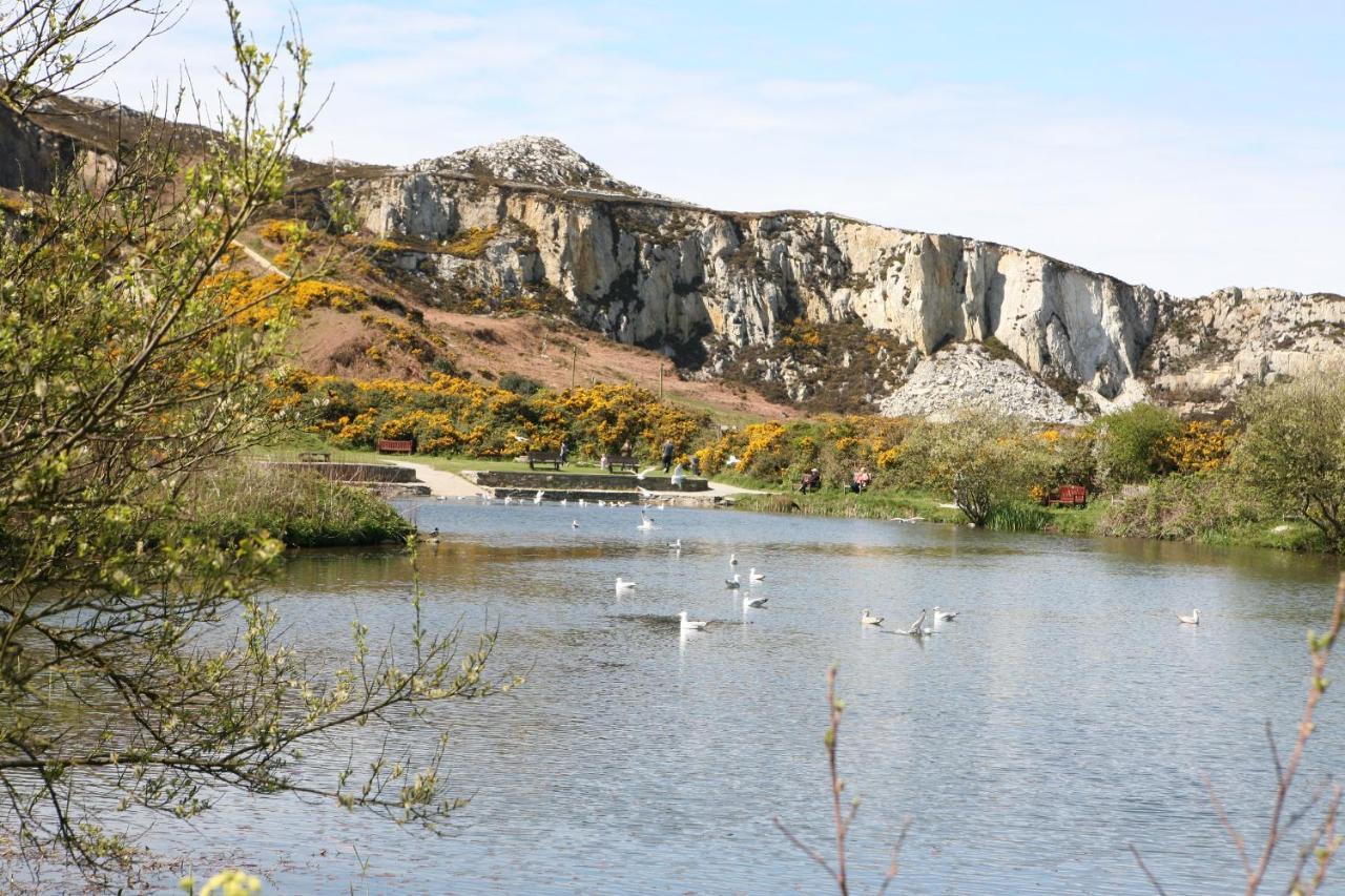 Swn Y Nant Villa Holyhead Exteriör bild